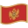 MNE version